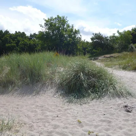 2 Ostsee-wellness-landhaeuser Sauna, Dampfbad, Jacuzzi * Groß Schwansee